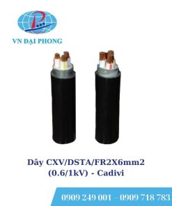 Dây cáp điện Cadivi CXV/DSTA/FR2X6mm2 (0.6/1kV)