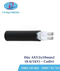 Dây cáp điện Cadivi AXV2x10mm2 (0.6/1kV)