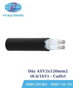 Dây cáp điện Cadivi AXV2x120mm2 (0.6/1kV)