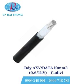 Dây cáp điện Cadivi AXV/DATA10mm2 (0.6/1kV)