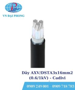 Dây cáp điện Cadivi AXV/DSTA3x16mm2 (0.6/1kV)