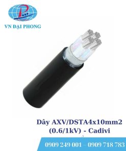 Dây cáp điện Cadivi AXV/DSTA4x10mm2 (0.6/1kV)