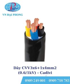 Dây cáp điện Cadivi CVV3x6+1x4mm2 (0.6/1kV)