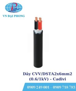 Dây cáp điện Cadivi CVV/DSTA2x6mm2 (0.6/1kV)