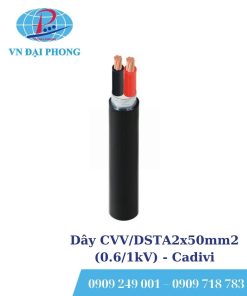 Dây cáp điện Cadivi CVV/DSTA2x50mm2 (0.6/1kV)