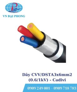 Dây cáp điện Cadivi CVV/DSTA3x6mm2 (0.6/1kV)