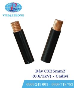 Dây cáp điện Cadivi CX25mm2 (0.6/1kV)