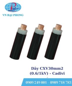 Dây cáp điện Cadivi CXV30mm2 (0.6/1kV)