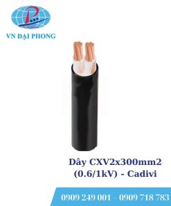Dây cáp điện Cadivi CXV2x300mm2 (0.6/1kV)
