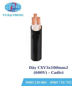 Dây cáp điện Cadivi CXV3x100mm2 (600V)