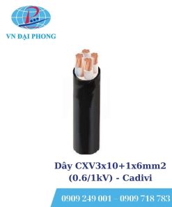 Dây cáp điện Cadivi CXV3x10+1x6mm2 (0.6/1kV)