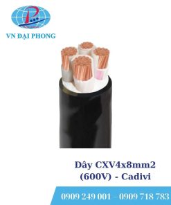Dây cáp điện Cadivi CXV4x8mm2 (600V)