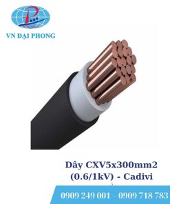 Dây cáp điện Cadivi CXV5x300mm2 (0.6/1kV)