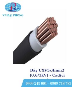 Dây cáp điện Cadivi CXV5x4mm2 (0.6/1kV)