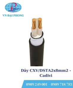 Dây cáp điện Cadivi CXV/DSTA2x8mm2 (0.6/1kV)