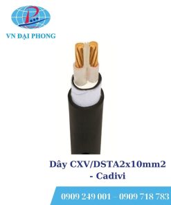 Dây cáp điện Cadivi CXV/DSTA2x10mm2 (0.6/1kV)