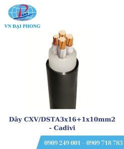 Dây cáp điện Cadivi CXV/DSTA3x16+1x10mm2 (0.6/1kV)