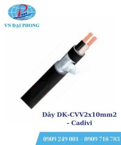Dây cáp điện Cadivi DK-CVV2x10mm2 (0.6/1kV)